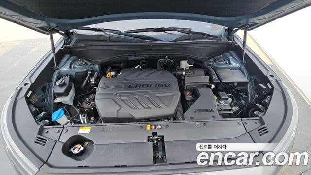 Hyundai Palisade Prestige, 2019 6