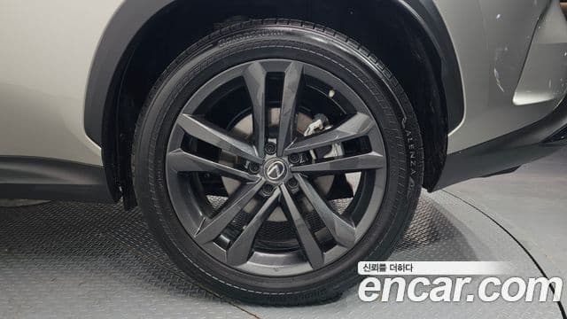 Lexus NX350h 2세대 Premium, 2023 все фото