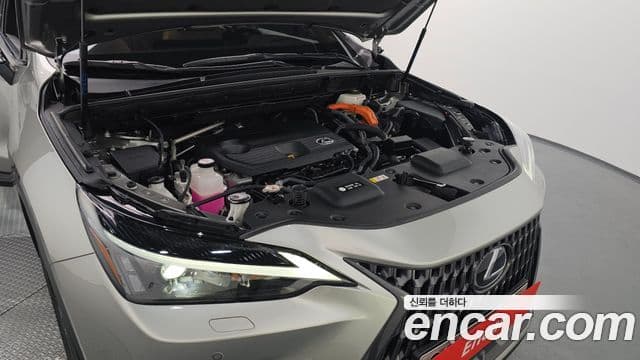 Lexus NX350h 2세대 Premium, 2023 6