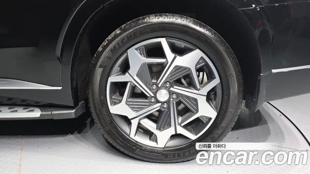 Hyundai Palisade Calligraphy, 2021 все фото