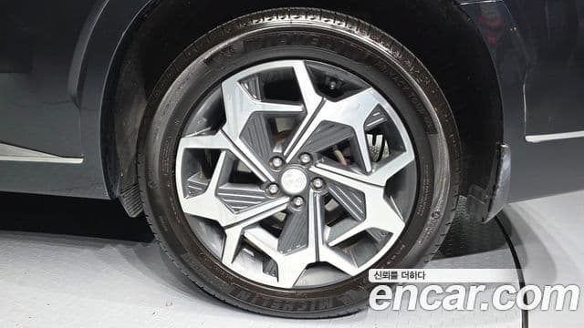 Hyundai Palisade Calligraphy, 2022 все фото