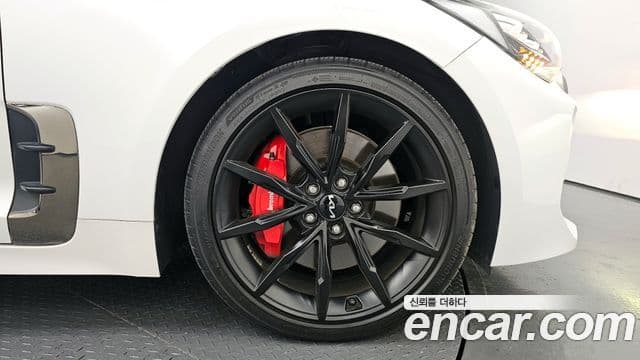 Kia 스팅어 마이스터 2.5 AWD Masters Acro Edition, 2023 все фото