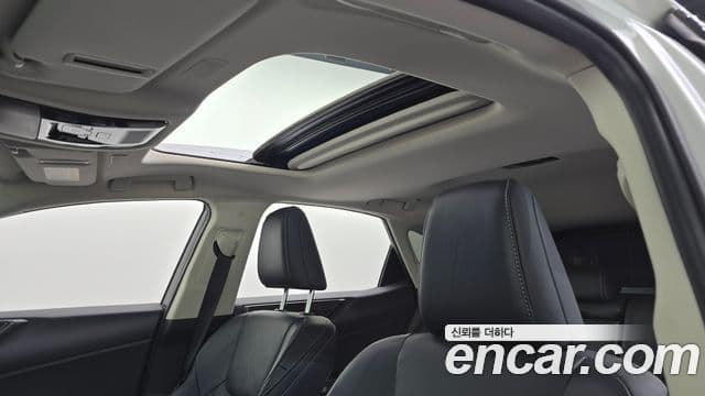 Lexus NX450h+ 2세대 Premium, 2024 19