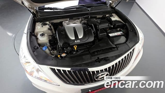 Hyundai Grandeur HG LPG HG300 для людей с инвалидностью, 2014 6