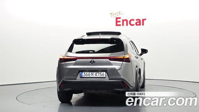 Lexus UX250h, 2024 4