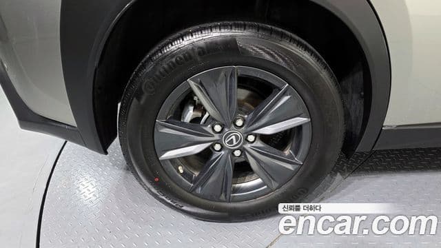 Lexus UX250h, 2024 все фото