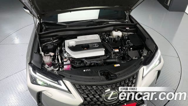 Lexus UX250h, 2024 6