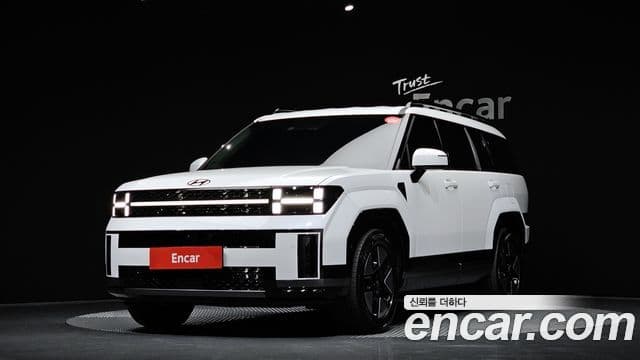 Hyundai Santa Fe (MX5) Calligraphy, 2024 1