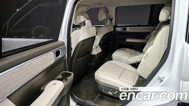 Hyundai Santa Fe (MX5) Calligraphy, 2024 12