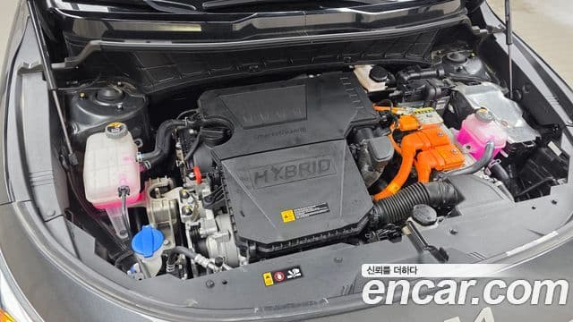 Kia D All New Niro Signature, 2024 6