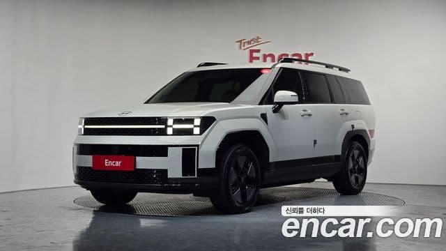 Hyundai Santa Fe (MX5) Calligraphy, 2024 1