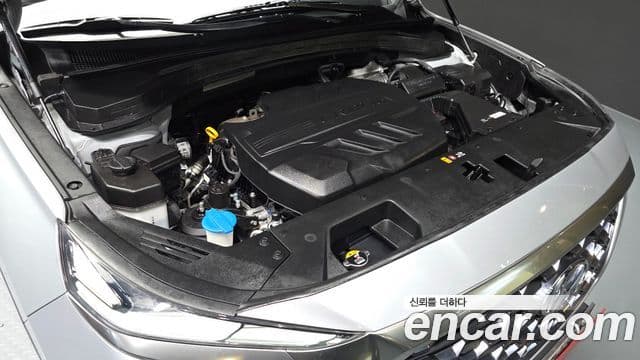 Hyundai Santa Fe TM Exclusive Special, 2019 6