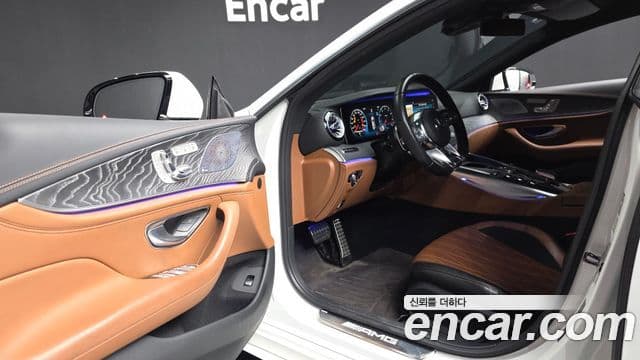 Mercedes-Benz AMG GT 4도어 43 4MATIC+, 2019 10