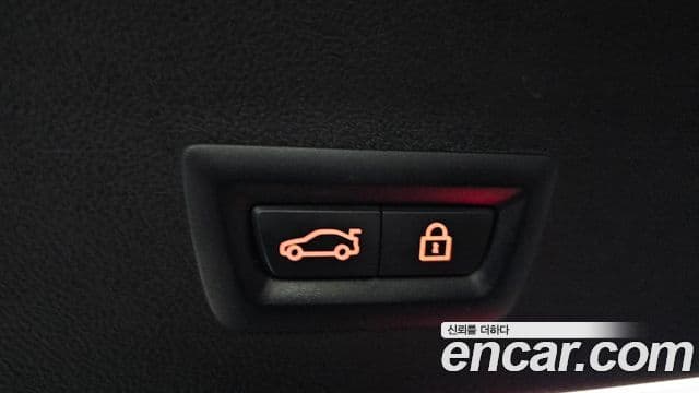 BMW X4 (G02) xDrive20d M Sport, 2019 20