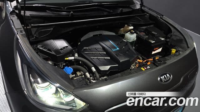 Kia Niro EV Noblesse, 2019 6