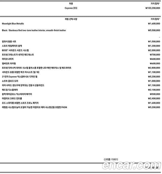 Porsche Cayenne (PO536), 2020 13