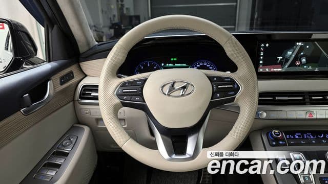 Hyundai Palisade Prestige, 2019 13