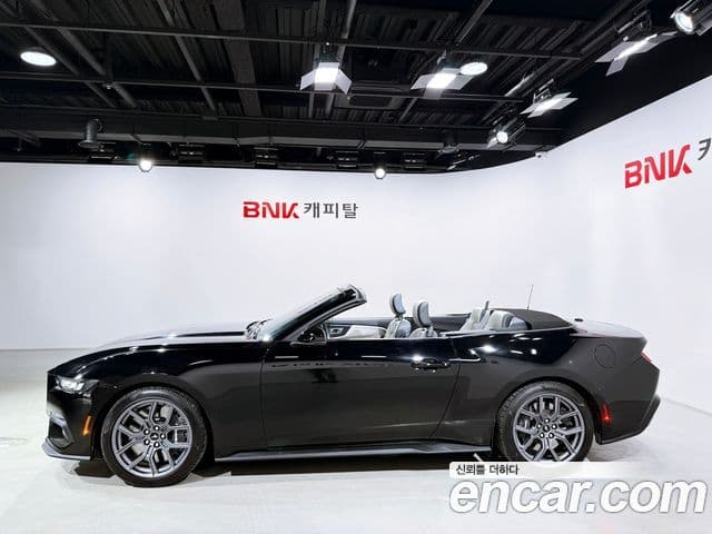 Ford Mustang 7세대 2.3 EcoBoost Premium кабриолет, 2024 3