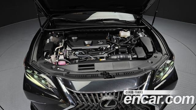 Lexus ES300h 7세대 Executive, 2025 6