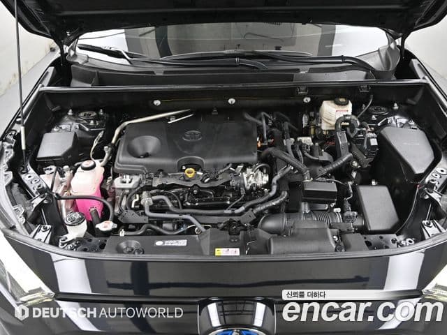 Toyota RAV4 5세대, 2022 все фото