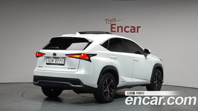 Lexus NX300h Executive, 2019 2