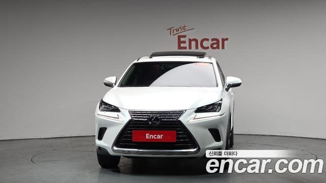 Lexus NX300h Executive, 2019 3