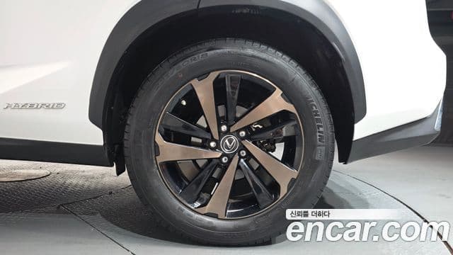 Lexus NX300h Executive, 2019 все фото