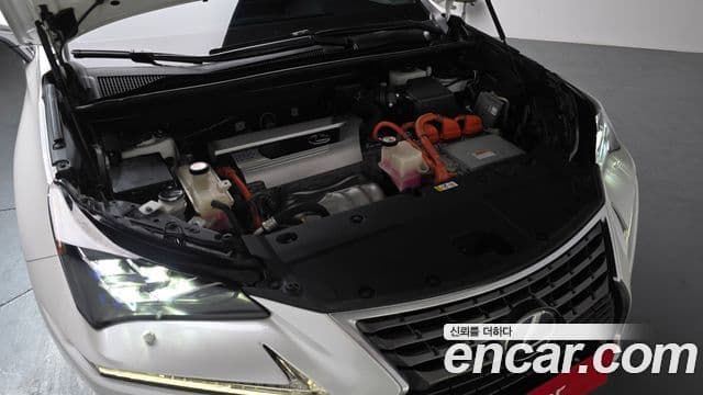 Lexus NX300h Executive, 2019 6