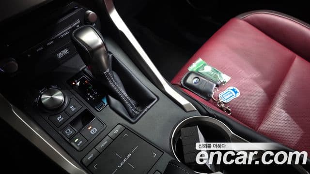 Lexus NX300h Executive, 2019 9