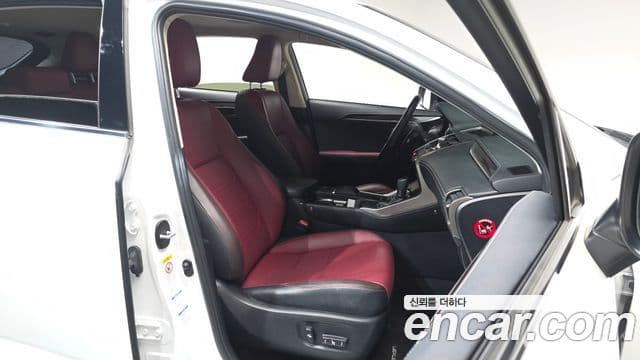 Lexus NX300h Executive, 2019 10