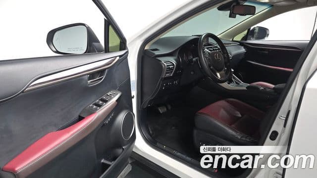 Lexus NX300h Executive, 2019 11