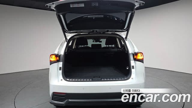 Lexus NX300h Executive, 2019 20