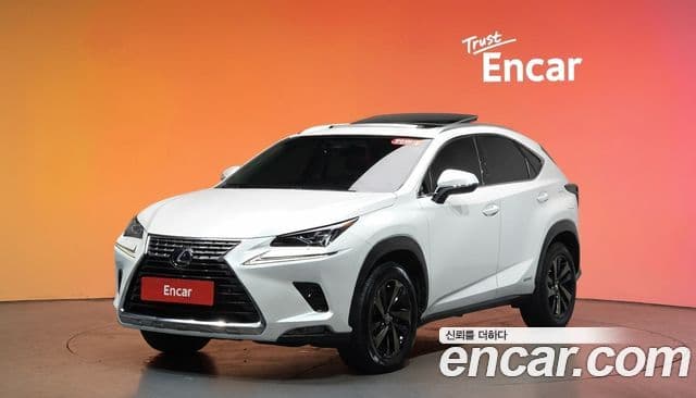 Lexus NX300h Executive, 2019 1