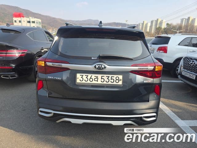 Kia Seltos Noblesse, 2020 3