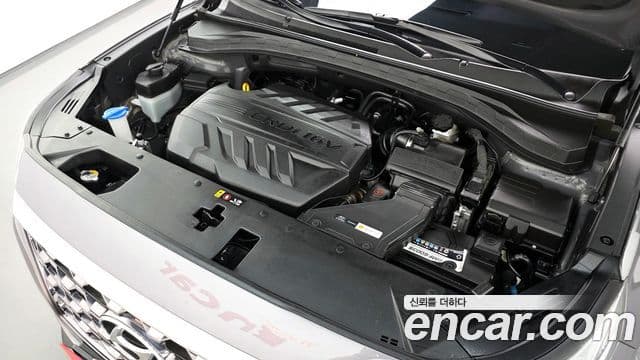 Hyundai Santa Fe TM Premium, 2020 6