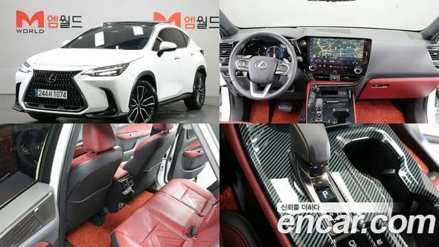 Lexus NX350h 2세대 Luxury, 2025 1