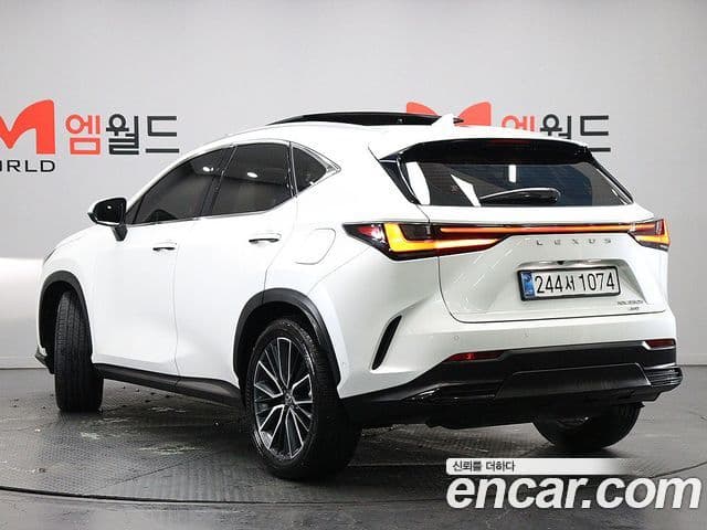 Lexus NX350h 2세대 Luxury, 2025 3