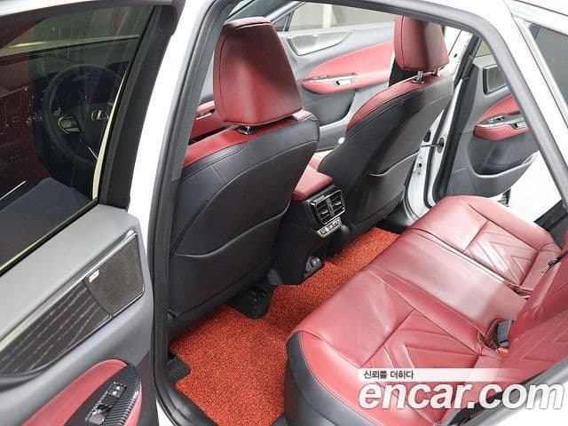 Lexus NX350h 2세대 Luxury, 2025 15