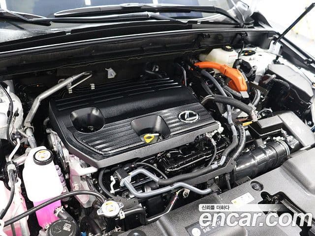 Lexus NX350h 2세대 Luxury, 2025 19