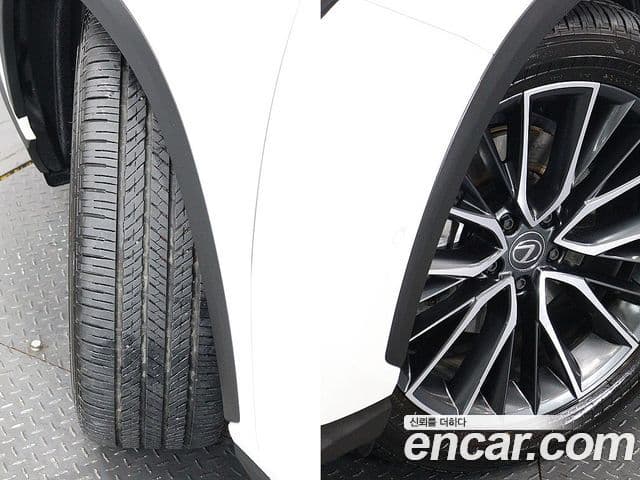 Lexus NX350h 2세대 Luxury, 2025 20