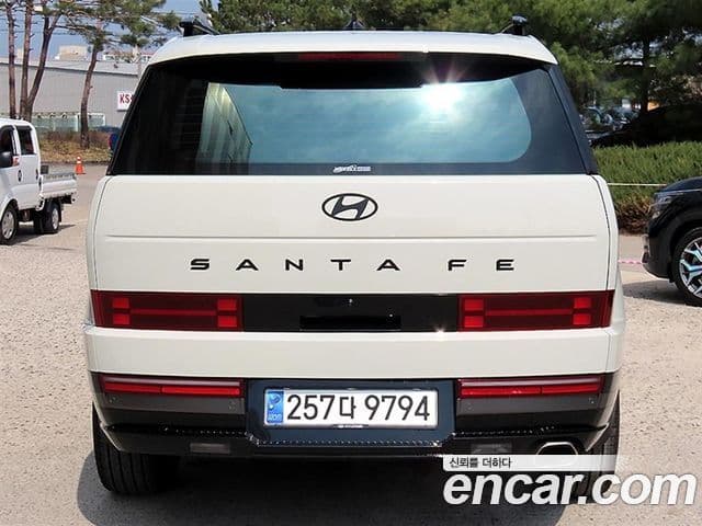 Hyundai Santa Fe (MX5) Calligraphy, 2024 4