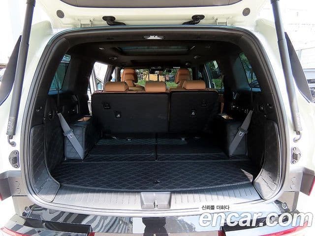 Hyundai Santa Fe (MX5) Calligraphy, 2024 16