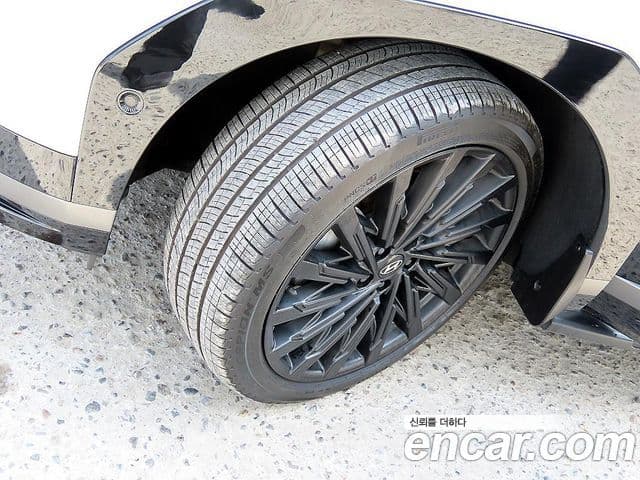 Hyundai Santa Fe (MX5) Calligraphy, 2024 20