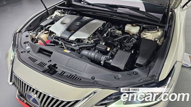 Lexus ES300h 7세대 Luxury Plus, 2019 6