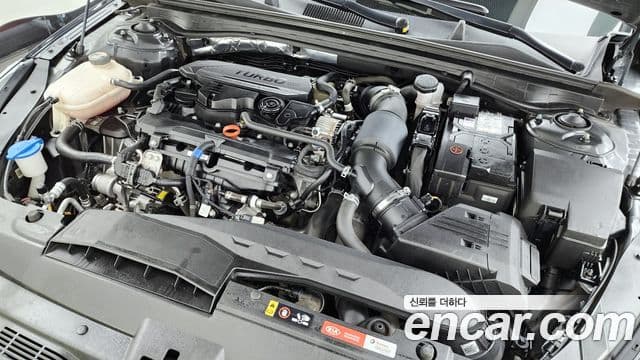 Kia K5 3세대 Noblesse, 2022 6