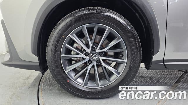 Lexus NX450h+ 2세대 Premium, 2025 все фото