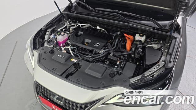 Lexus NX450h+ 2세대 Premium, 2025 6