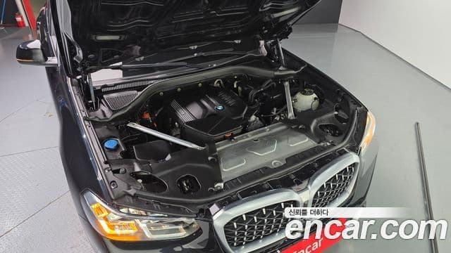 BMW X4 (G02) xDrive20d xLine, 2023 6