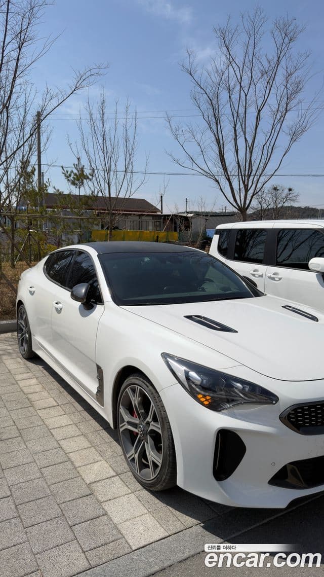 Kia 스팅어 GT, 2018 1