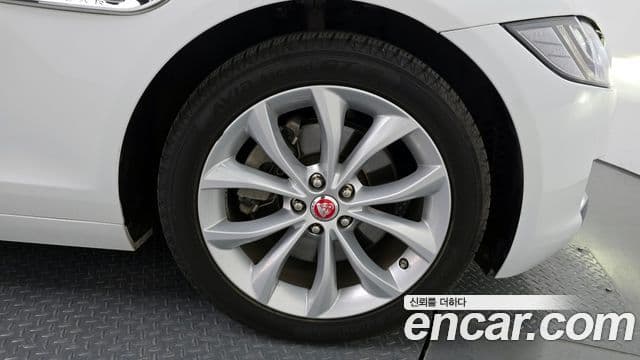 Jaguar XF (X260) 20d Portfolio, 2019 все фото